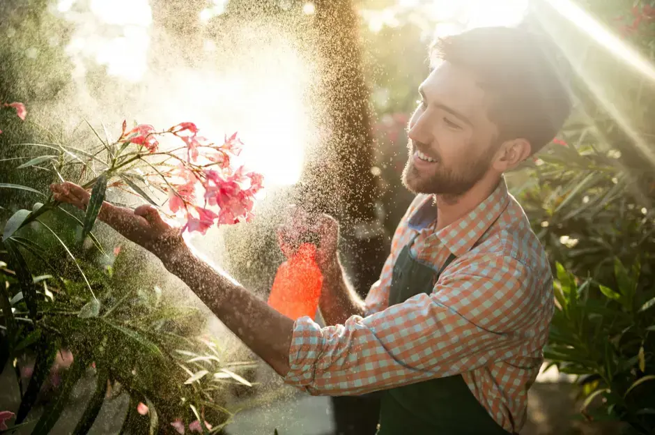 Gartenpflege im Sommer: Was man tun und was man vermeiden sollte