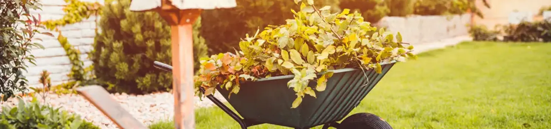 Garten und Balkon im November: Wie bereitet man sich auf starke Fröste vor?