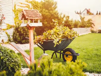 Garten und Balkon im November: Wie bereitet man sich auf starke Fröste vor?