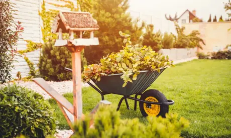 Garten und Balkon im November: Wie bereitet man sich auf starke Fröste vor?