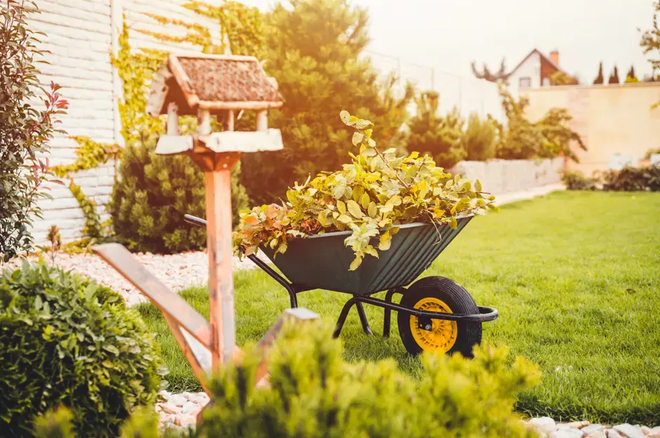 Garten und Balkon im November: Wie bereitet man sich auf starke Fröste vor?