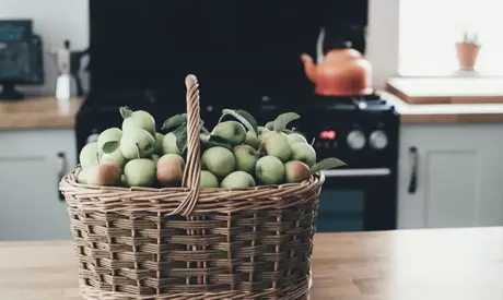 Garten im September: Wir sammeln Samen und bereiten den Garten für den Winter vor