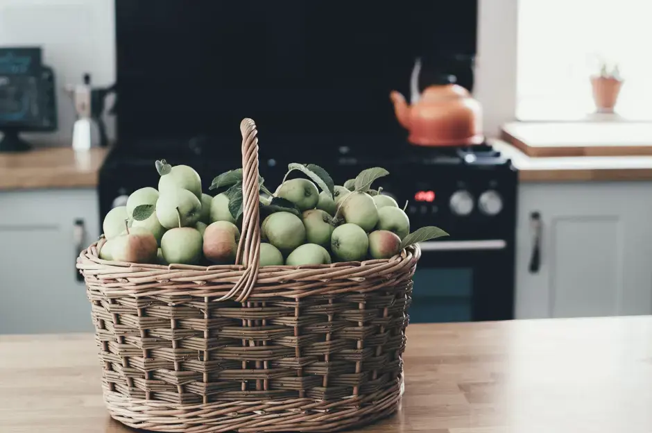 Garten im September: Wir sammeln Samen und bereiten den Garten für den Winter vor