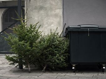 Der Weihnachtsbaum hat ausgedient. Wohin damit jetzt?