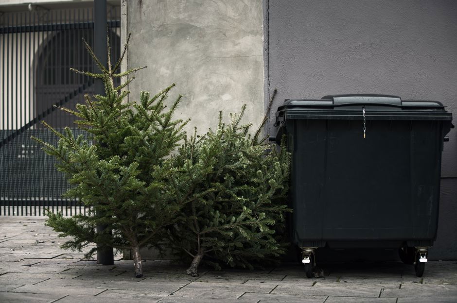 Der Weihnachtsbaum hat ausgedient. Wohin damit jetzt?