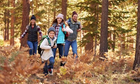 Der Winter geht zu Ende, gehen Sie mit den Kindern in den Wald! Ideen für die ersten Frühlingsspaziergänge.