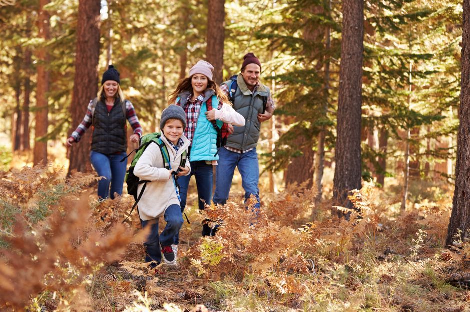 Der Winter geht zu Ende, gehen Sie mit den Kindern in den Wald! Ideen für die ersten Frühlingsspaziergänge.