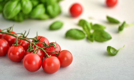 April und Mai im Garten, aber auch vor den Fenstern! Bauen Sie Gemüse auch in Ihrer Wohnung an